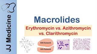 Macrolides Azithromycin Erythromycin  Bacterial Targets Mechanism of Action Adverse Effects [upl. by Ayotas699]