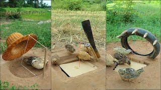 Best Unique Underground Bird Trap  Quail trap  shorts [upl. by Sotos]