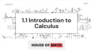 11 Introduction to Calculus [upl. by Kohler]