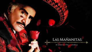 Las Mañanitas  Vicente Fernandez [upl. by Abdella]