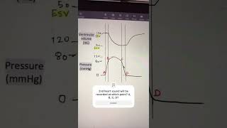 Physiology MCQs  cardiovascular physiology mbbs1styear physiology physiologyquiz [upl. by Shaikh]