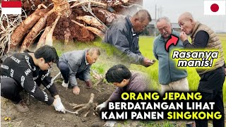 REAKSI ORANG JEPANG MAKAN SINGKONG MENTAH [upl. by Nosylla]