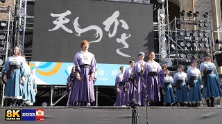 早稲田大学 東京花火【天つかさ】 早稲田祭2024 大隈講堂前ステージ [upl. by Thorwald]