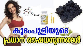 കുടംപുളിയുടെ പ്രധാന ഔഷധഗുണങ്ങൾ  Medicinal Properties Of Kudampuli Garcinia Cambogia [upl. by Atiuqcaj]