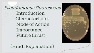 Pseudomonas fluorescens Complete detail in hindi  Biocontrol agent Mode of ActionSiderophore [upl. by Noivert]