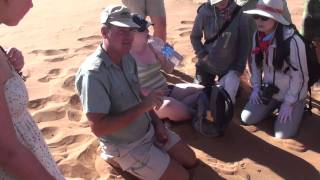 San Bushman Guide to Sossusvlei  Namibia [upl. by Danelle]