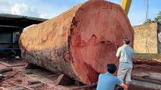 Wood Cutting Skills  Cutting The Worlds Largest Oak Tree With A Giant Chainsaw [upl. by Esinwahs481]