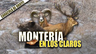 Montería en los Claros  Iberalia GO [upl. by Lorena]