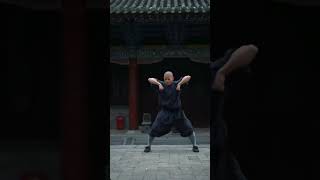 Mind Body Spirit The Holistic Approach of Chinese Martial Arts [upl. by Hackathorn]