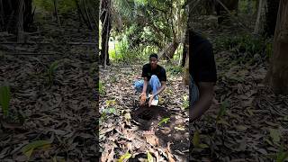 Survival bushcraft skills 🫡 shortsvideo bushcraft lifehack [upl. by Shelagh]