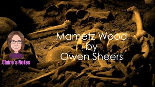 Mametz Wood by Owen Sheers detailed analysis [upl. by Anaila]