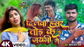 Video  दिलवा हमर तोड़ के जयभी गे  Saurav Lal Yadav💔Dilva humr tor ke jaibhee ge Song 2024 [upl. by Iznik]