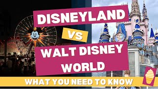 Disneyland vs Disney World Which to choose [upl. by Eiffub252]