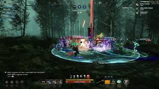 New World Defending Brightwood  Healer PoV Nov 21 2024 [upl. by Baal681]