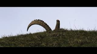 Valnontey  Parco Nazionale del Gran Paradiso  4k cinematic  PANASONIC VX1 [upl. by Nahshun213]