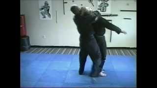 Taijutsu Unarmed Combat of the Ninja Vol 1 DVD [upl. by Burg367]