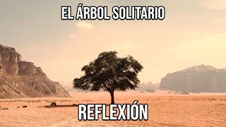 REFLEXIÓN EL ÁRBOL SOLITARIO Reflexiones Diarias Cortas de Vida del Alma Mejor Persona De Dios [upl. by Earized]