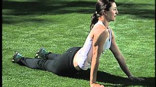 Abdominal exercisesdynamic stretch routine [upl. by Hendrix691]