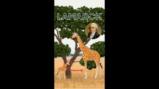 La teoría evolutiva de LAMARCK y sus PROBLEMAS [upl. by Summers773]