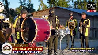 MIX HUAYNOS TRISTES  BANDA ORQUESTA IMPERIAL AYACUCHO CORACORA  Video Oficial [upl. by Naltiac]