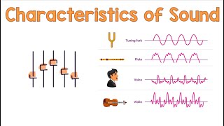 Characteristics of Sound  Animation [upl. by Narba]