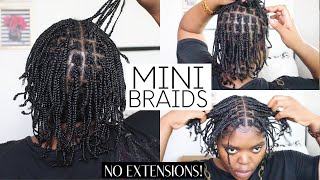 MINI BRAIDS PROTECTIVE STYLE ON NATURAL HAIR  NO EXTENSIONS [upl. by Attennod]