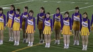 立教大学チアリーダーのハーフタイムショー 20131109 [upl. by Michey200]