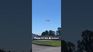 Cirrus SR20 Approach at Renton Municipal Airport airplane planespotting [upl. by Ecinrahs930]