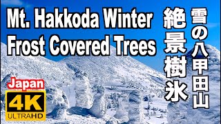 冬の青森 八甲田山の樹氷 Frost covered trees Mt Hakkoda Winter 青森観光 旅行 八甲田ロープウェー 雪景色 日本三大樹氷 Aomori 雪の名所 八甲田山観光 [upl. by Adama555]