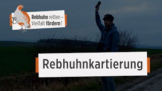 Rebhühner kartieren  leicht gemacht [upl. by Niwroc368]