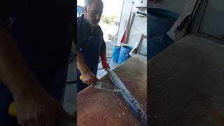 The easiest way to fillet barracuda fish [upl. by Ayrad]