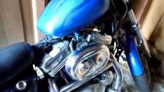 Harley Sportster 1200  Practical All Around Bike [upl. by Cristiano]