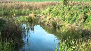 Permakultur WaldWasserGarten quotEinjochquot Waldgarten mit Teichlandschaft [upl. by Etnahc]