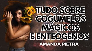 TUDO SOBRE COGUMELOS MÁGICOS E ENTEÓGENOS  AMANDA PIETRA [upl. by Elletnuahc]