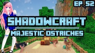 Majestic Ostriches  ShadowCraft  Ep 52 [upl. by Einnaej]