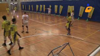 Tchoukball ValdeRuz vs Chambesy 36  match du 18 mai 2010 [upl. by Karame547]