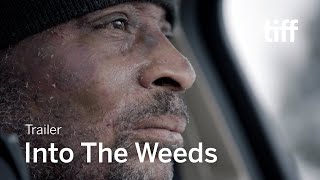 INTO THE WEEDS Trailer  TIFF 2022 [upl. by Makell]