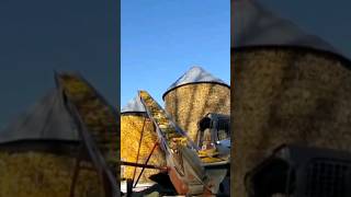 Picking Corn Harvest 2017 [upl. by Guillaume]