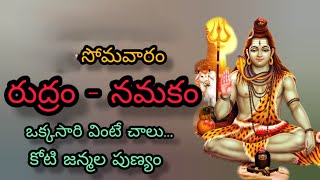 SRI RUDRAM  NAMAKAM  CHAMAKAM  శ్రీ రుద్రం నమకం చమకం [upl. by Ineslta290]