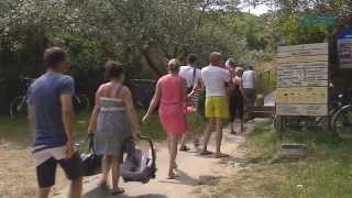 Camping Janse Zoutelande in 3 minuten [upl. by Jehias]