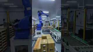 Robot arm handling and palletizingautomated production lineintelligent manufacturingservo [upl. by Karoline]