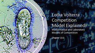 Lotka Volterra Interspecific Competition Model EXPLAINED [upl. by Eneleoj]