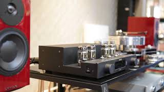 Octave V70SE  KT88 GENALEX GOLD LION  DYNAUDIO SPECIALFORTY  Test Three Kingdoms Track 12 [upl. by Larual]