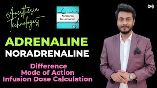 Difference BW adrenaline and noradrenaline  Mechanism of Action amp Doses by Anesthesia Technologist [upl. by Divadnahtanoj]