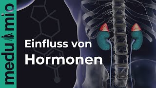 So beeinflussen Hormone Deinen Körper  Progesteron  Ungleichgewicht  Dr Annette Langer [upl. by Rramahs247]