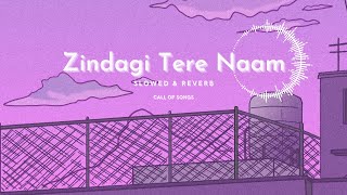 Zindagi Tere Naam YODHA  LOFI  SLOWED amp REVERB SONG 2024 [upl. by Evreh]