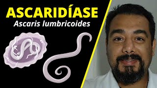 Ascaridíase Ascaris lumbricoides ou lombriga ciclo de vida diagnóstico etc  Parasitologia [upl. by Sanfred354]