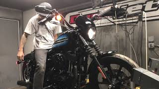 2018 HarleyDavidson Iron 1200 Dyno [upl. by Adalia722]