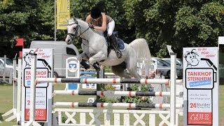 L Zeit Springen Al Ashar  VollblutAraber  Arabian Horse Jumping [upl. by Lasala182]