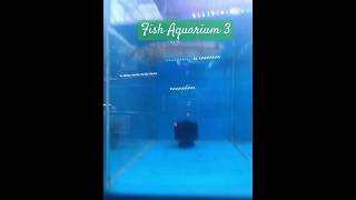 kurla Fish Aquarium market Mumbai part 3 Like subscribe amp sharefishingvideo MalvaniLife [upl. by Connelley801]